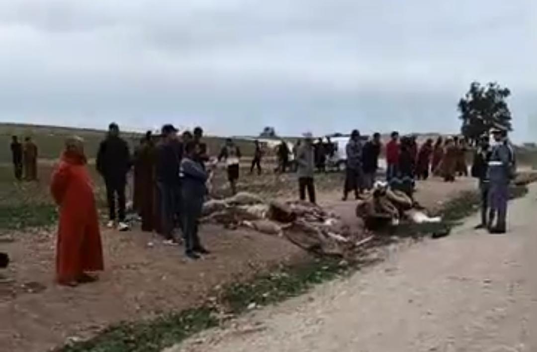 IMG 20240323 WA0108 - التلفزة الإلكترونية بلازواقTV