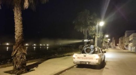 جماعة مرتيل تسخر إمكانياتها الذاتية من أجل محاربة البعوض