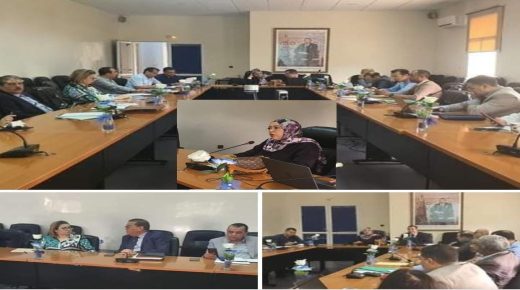 اجتماع تنسيقي في المديرية الجهوية للصحة والحماية الاجتماعية بجهة فاس مكناس