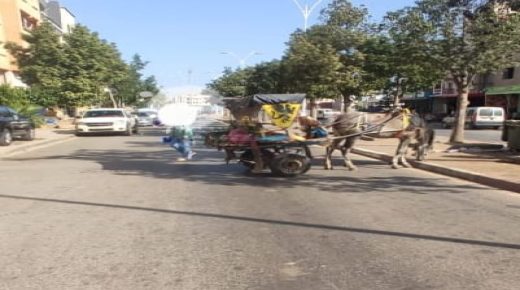 حد السوالم..السيبة والفوضى لدى بعض أصحاب الكوتشيات بالمدينة السالمية