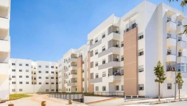 الدعم المباشر للسكن.. أكثر من 8500 فرد تمكنوا من اقتناء سكنهم في التفاصيل