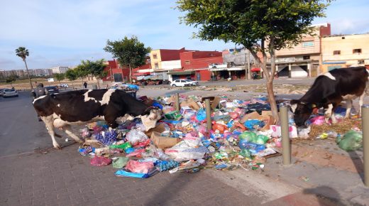 الجديدة تغرق في الازبال ومضاهر الفوضى تسود ولا من يحرك ساكنا !!!
