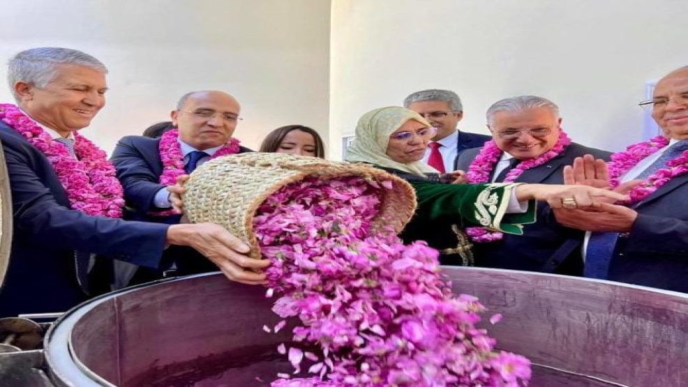 قلعة مگونة ..المعرض الدولي للورد العطري في دورته الـ59