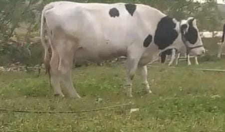 IMG 20240506 WA0009 - التلفزة الإلكترونية بلازواقTV