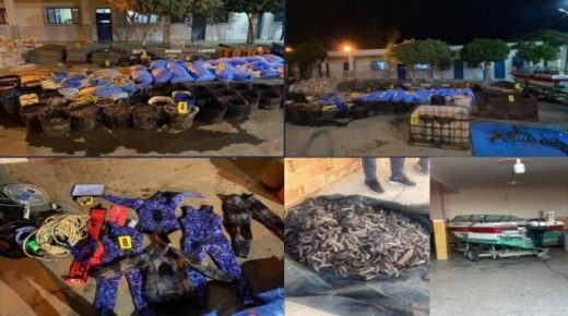 الناظور ..2 طن من أصناف بحرية مهددة بالانقراض تم حجزها خلال توقيف متورطين في الصيد الغير المشروع