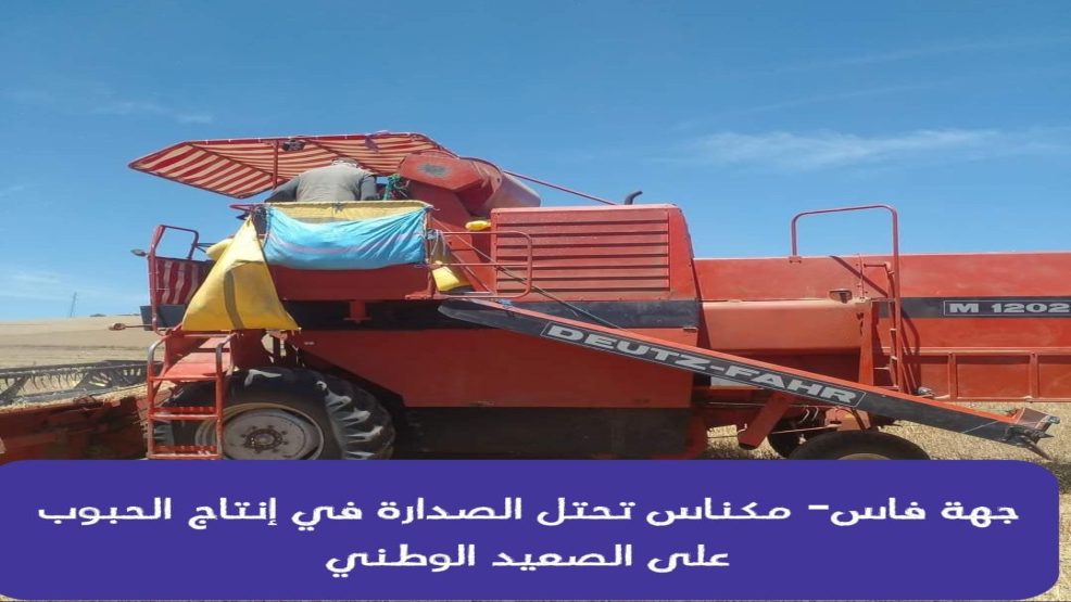 جهة فاس مكناس تحتل الصدارة في إنتاج الحبوب هذا الموسم