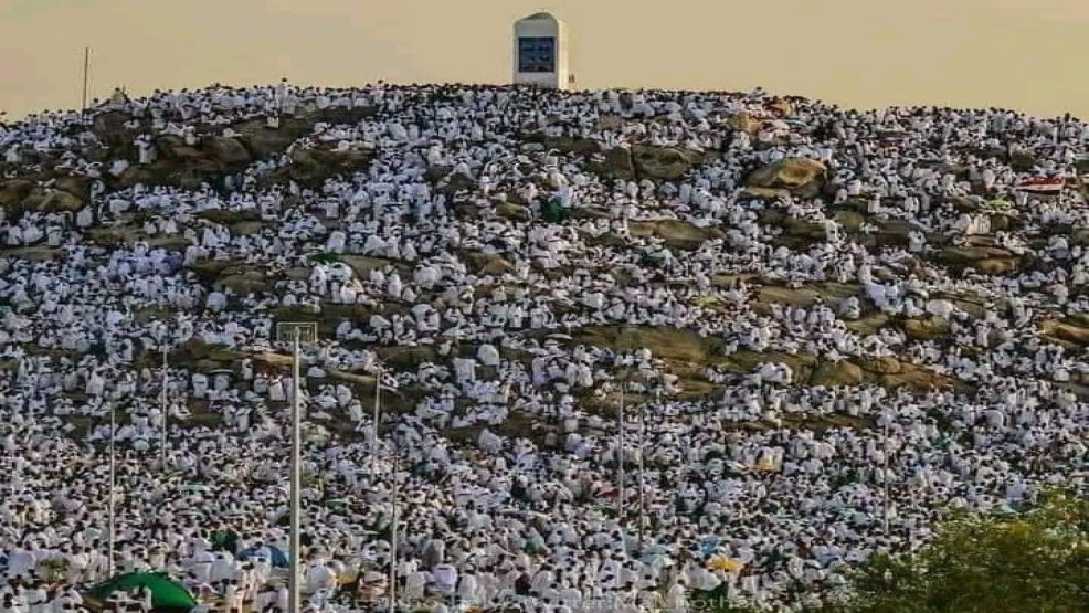 وفاة عدد كبير من الحجاج هذه السنة والحرارة المفرطة  اولى الاسباب