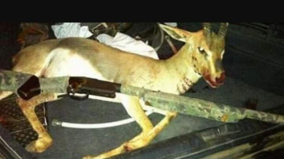 حملة أمنية مشتركة بين درك تافراوت وشرطة القنص ضد صيد الغزلان  تؤدي إلى اعتقال صياد من أولاد تايمة