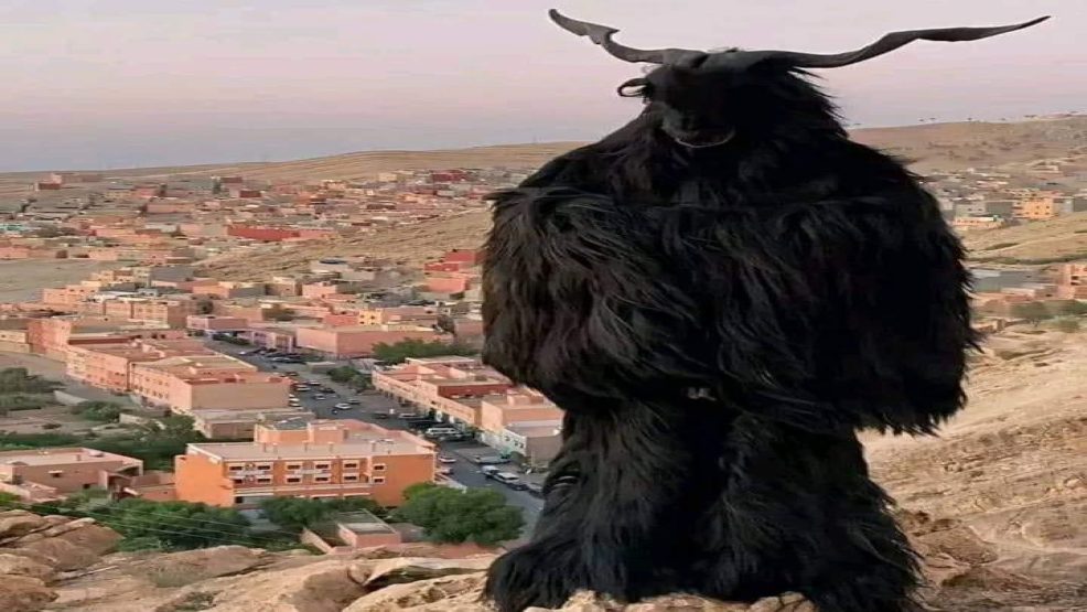 سوس ماسة ..احتفالات بوجلود” تراث ثقافي وكرنفال شعبي “