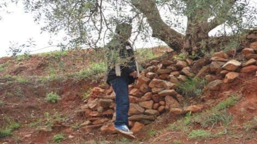 إرتفاع حالات الانتحار في مدينة تنجداد إقليم الرشيدية