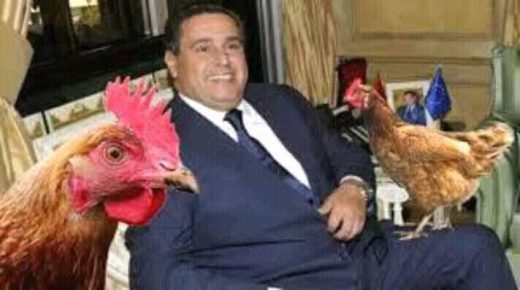 غلاء اسعار الدواجن والبيض يخرج رواد التواصل الاجتماعي عن صمتهم واستدعاء وزير الفلاحة للرد!!