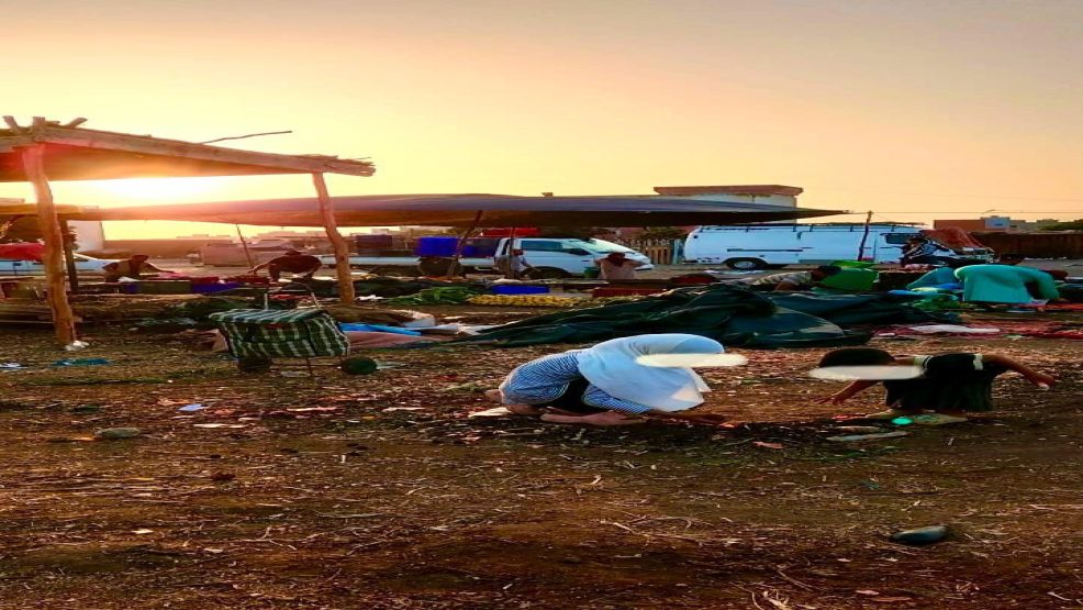 أطفال يجمعون بقايا الخضر في سوق عين عودة.. واقع مؤلم يعكس تداعيات غلاء الأسعار