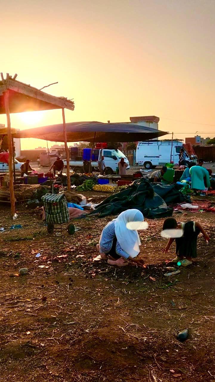 أطفال يجمعون بقايا الخضر في سوق عين عودة.. واقع مؤلم يعكس تداعيات غلاء الأسعار