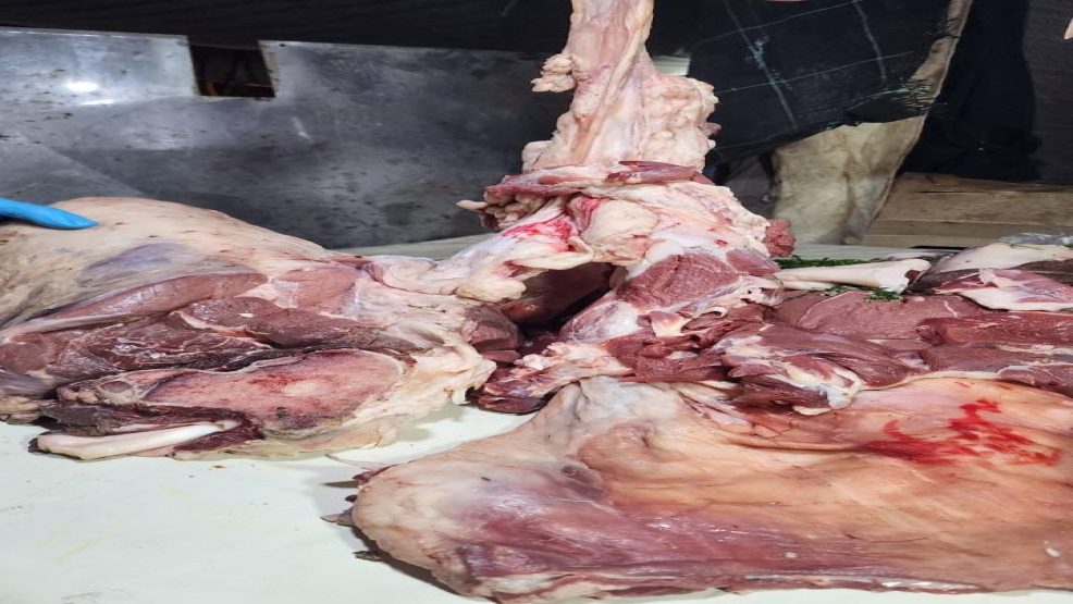 موسم مولاي عبدالله امغار ..ضبط 88 كيلوغرامًا من اللحوم الفاسدة