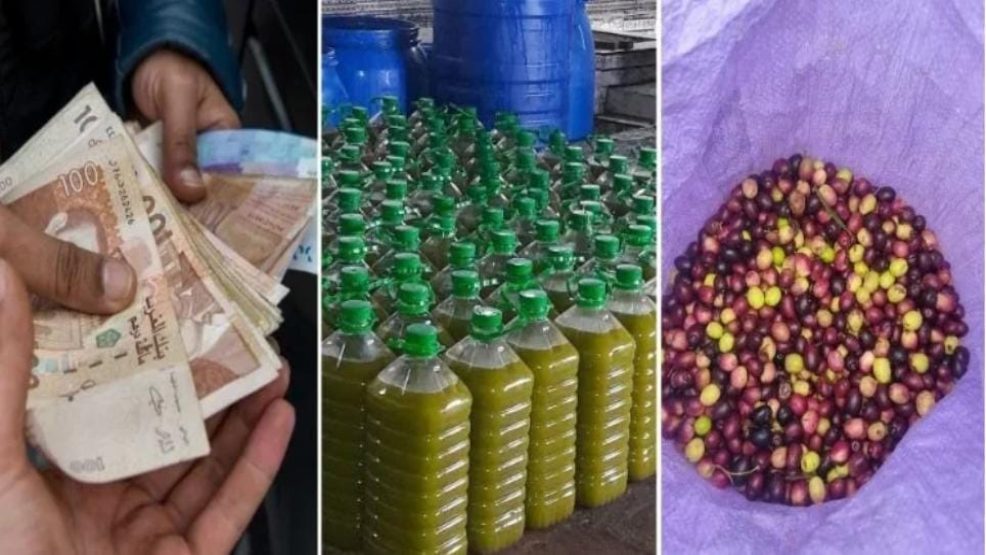 أسعار زيت الزيتون بالمغرب تسير في اتجاه ارتفاع “جنوني”