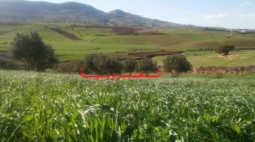 العالم القروي: تحديات وتأثيرات