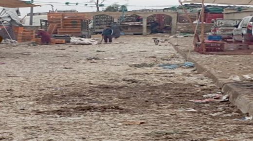 سيدي بنور.. بائعي الدواجن في السوق الأسبوعي يشكون من قلة النظافة وغياب التنظيم