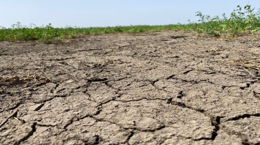 التغير المناخي في المغرب: هل تكفي الجهود الحالية لمواجهة الجفاف والتصحر؟
