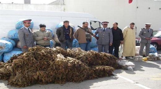 درك زايو اقليم الناظور يلقي القبض على المدعو” عقة”