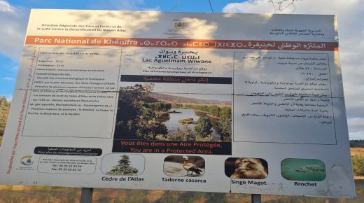 بحيرة ويوان .. الإهمال يهدد إرثاً طبيعياً غنياً