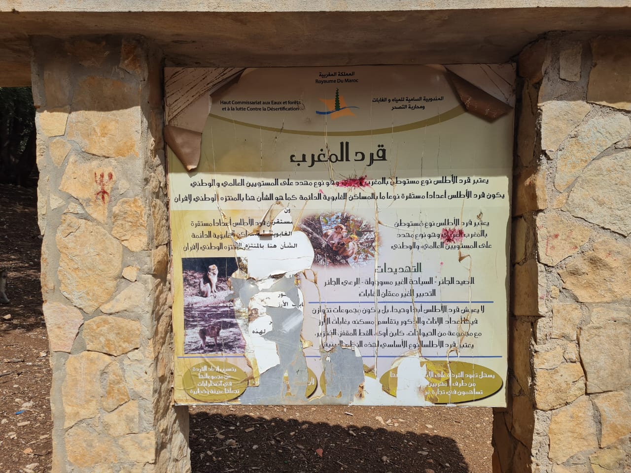 IMG 20240920 WA0206 - التلفزة الإلكترونية بلازواقTV