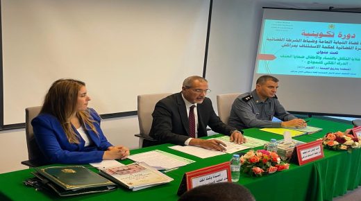 مراكش .. دورة تكوينية “حول دور خلايا التكفل بالنساء والأطفال ضحايا العنف – الدرك الملكي كنموذج”