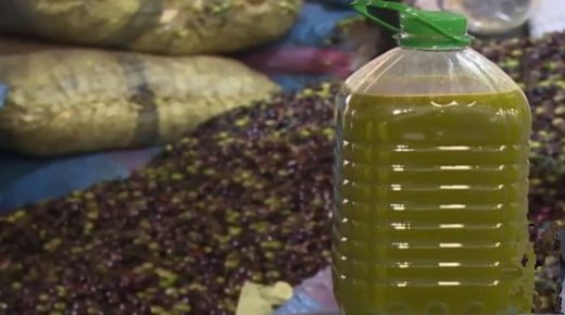 ارتفاع سعر زيت الزيتون.. تحليل وتأثيرات
