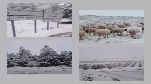 إفران ..تساقطات ثلجية تعيد الحياة إلى ربوع الإقليم