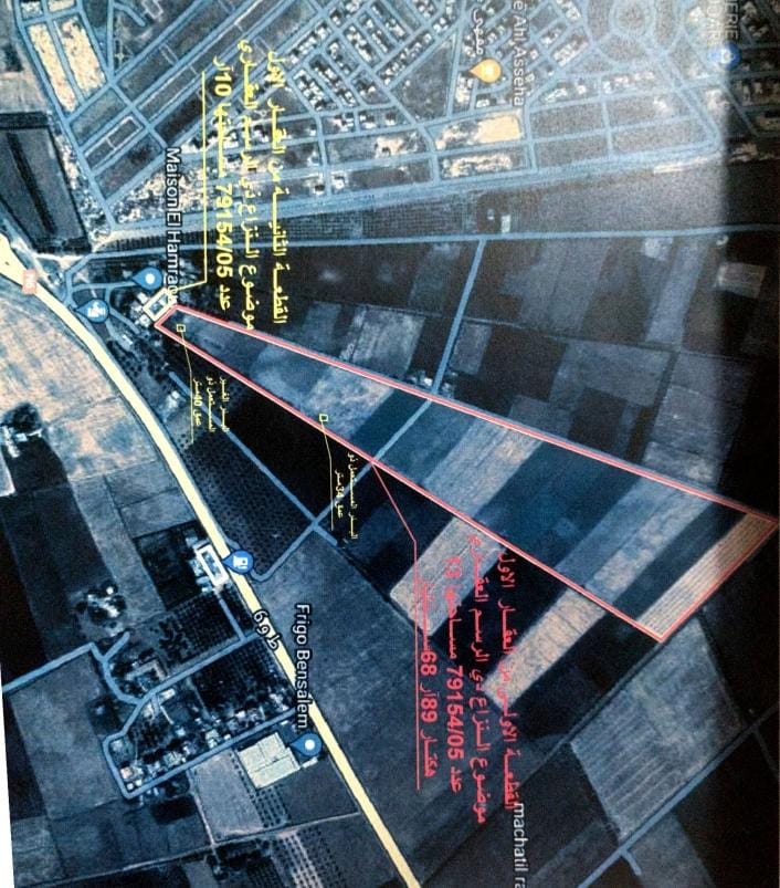 IMG 20241105 WA0006 - التلفزة الإلكترونية بلازواقTV