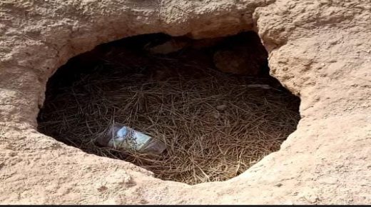 جماعة لخزازرة  اقليم سطات ..وفاة شابين داخل مخزن الحبوب