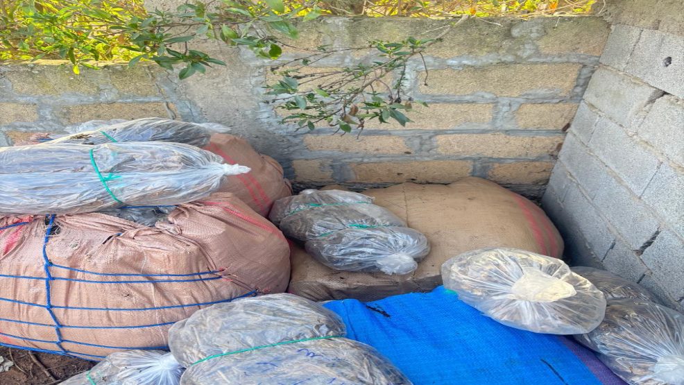 ضربة ثانية موجعة لمروجي المخدرات في ضواحي حد السوالم