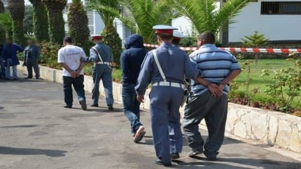 حد السوالم..الدرك الملكي يتمكن من استرجاع بقرة مسروقة