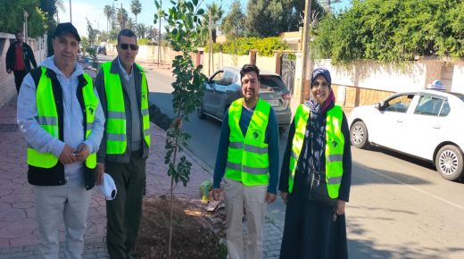 جمعية الفضاء الأخضر تغرس 83 شجرة بمدينة الجديدة