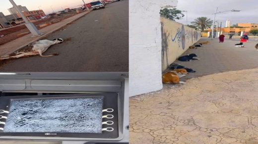 سيدي بنور..المدينة تعيش أسوأ أيامها في ظل المجلس الترابي الحالي