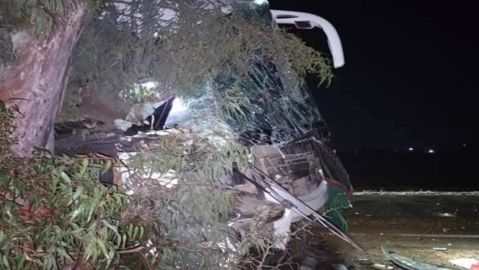 الجديدة ..اصطدام حافلة للنقل بشجرة بطريق مصور راسو يودي بحياة راكبة ويرسل 18 اخرين للمستعجلات