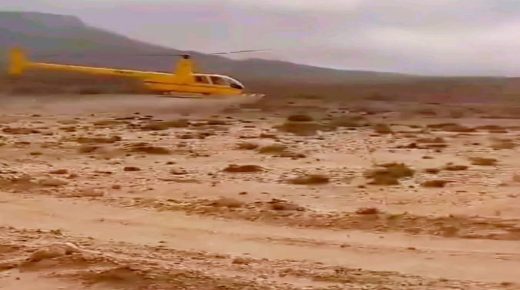 انباء متداولة حول تنبيه للمربين في الجنوب الشرقي للمغرب قبل عملية رش للمبيدات جوا