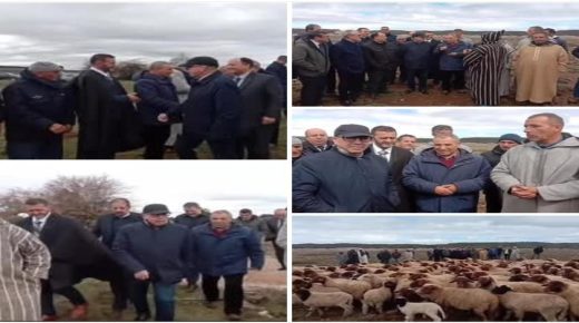 زيارة ميدانية لوزير الفلاحة إلى سهب الغنم بإفران لتعزيز برامج تثمين المراعي والقطيع