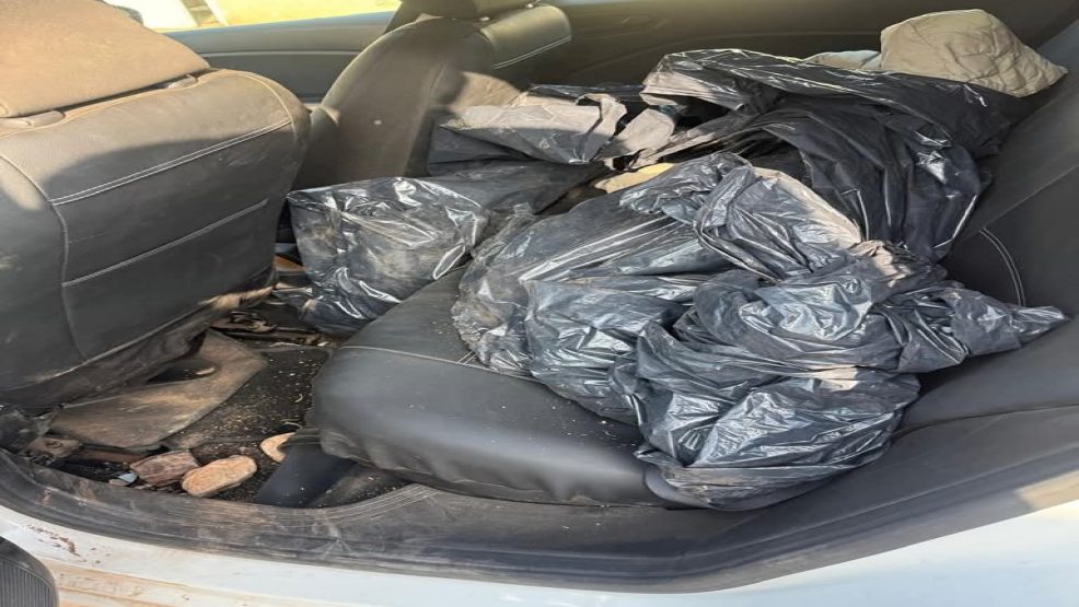 عملية نوعية تطيح بثلاثة أشخاص مبحوث عنهم بينهم فتاة في الدروة