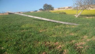 مطلب اصلاح أعمدة الإنارة المتساقطة بدوار أيت الباري جماعة تفتاشت إقليم الصويرة
