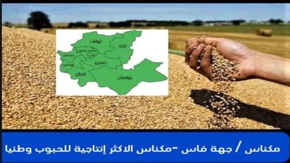 مكناس .. جهة فاس -مكناس الاكثر إنتاجية للحبوب وطنيا