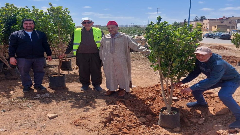 المجلس العلمي المحلي للجديدة وجمعية الفضاء الأخضر ينفذان مبادرة غرس 44 شجرة في حي لحونا