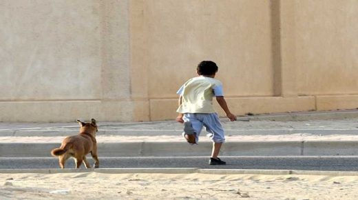 جماعة صباح اقليم تمارة ..كلاب ضالة تنهي حياة طفل بشكل “فضيع”