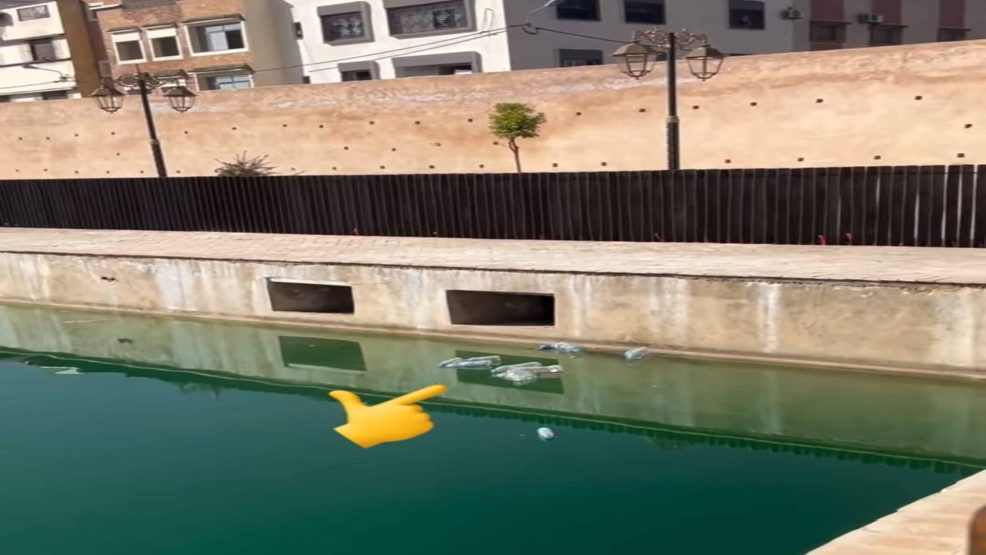 مكناس .. سلوكات غير مقبولة بالمعلمة التاريخية صهريج السواني