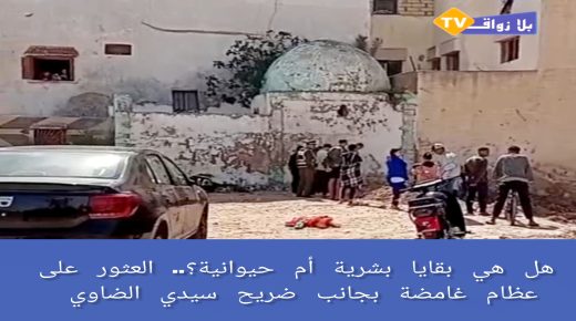 الجديدة..هل هي بقايا بشرية أم حيوانية؟.. العثور على عظام غامضة بجانب ضريح سيدي الضاوي!