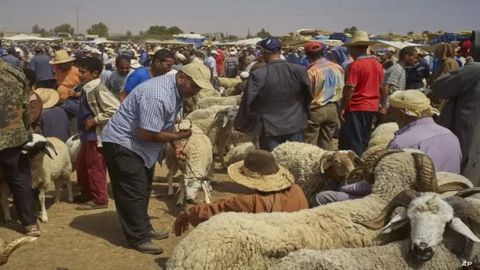 الداخلية تصدر تعليمات بمنع كل الأنشطة الخاصة بعيد الأضحى