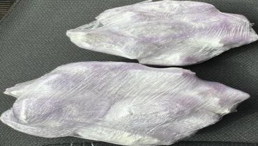 فاس .. إلقاء القبض على مستشار جماعي بجماعة تمزكانة  وبحوزته 120غرام من مخدر الكوكايين