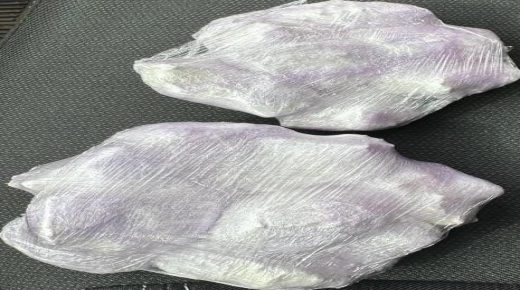 فاس .. إلقاء القبض على مستشار جماعي بجماعة تمزكانة  وبحوزته 120غرام من مخدر الكوكايين