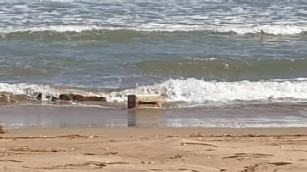 الجديدة .. مياه شاطىء الحوزية تلفظ رزمة من مخدر الكوكايين