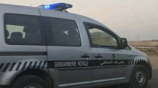 صيد الغزلان يقود ثلاثة  أشخاص إلى الايقاف نواحي تافراوت