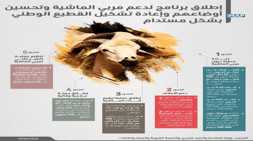 برنامج حكومي جديد لدعم مربي الماشية وإعادة تشكيل القطيع الوطني